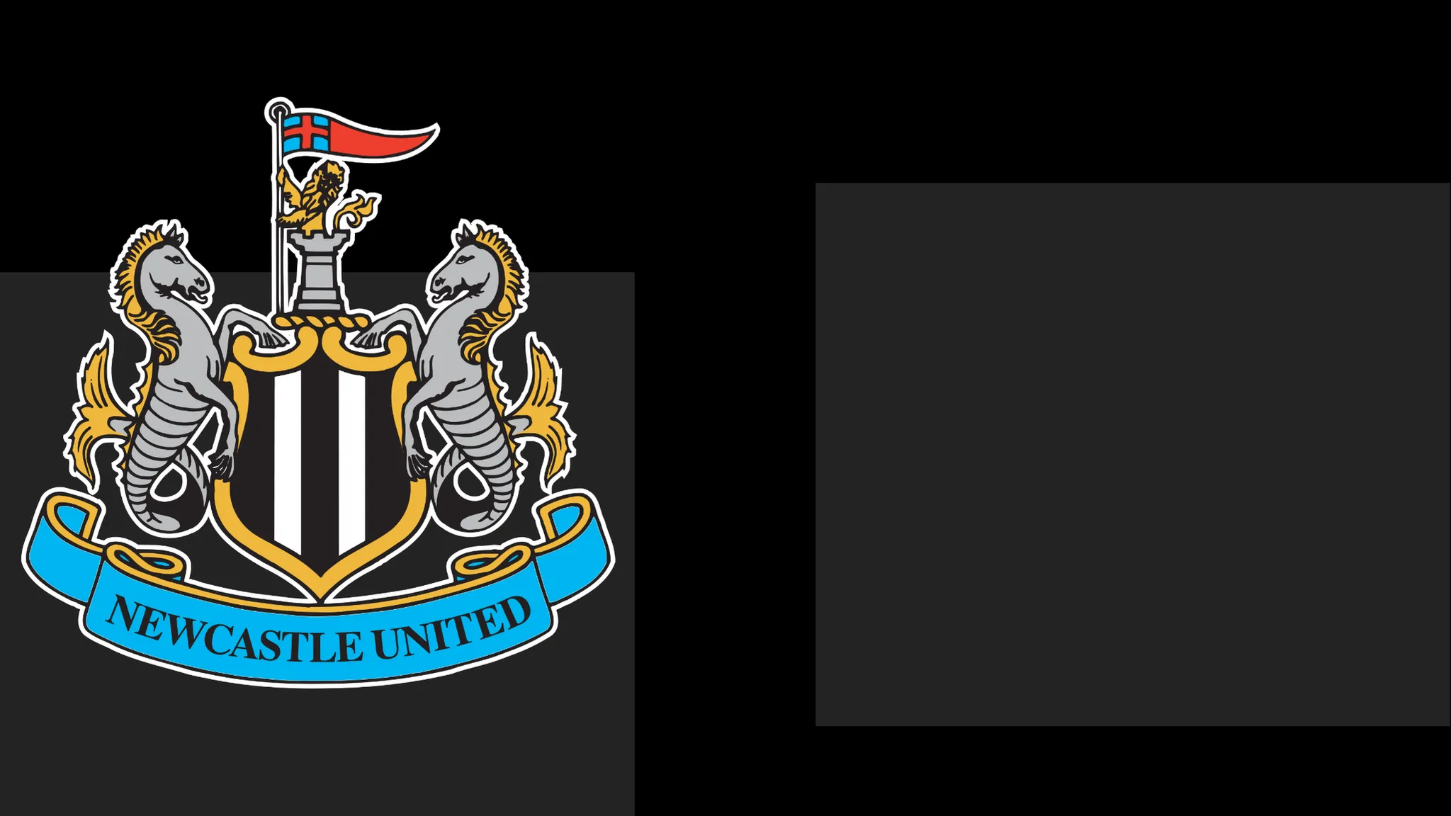 Newcastle's boss Hails Team's Heart – However It Only Takes Them This Far